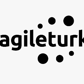 Agile Turkey