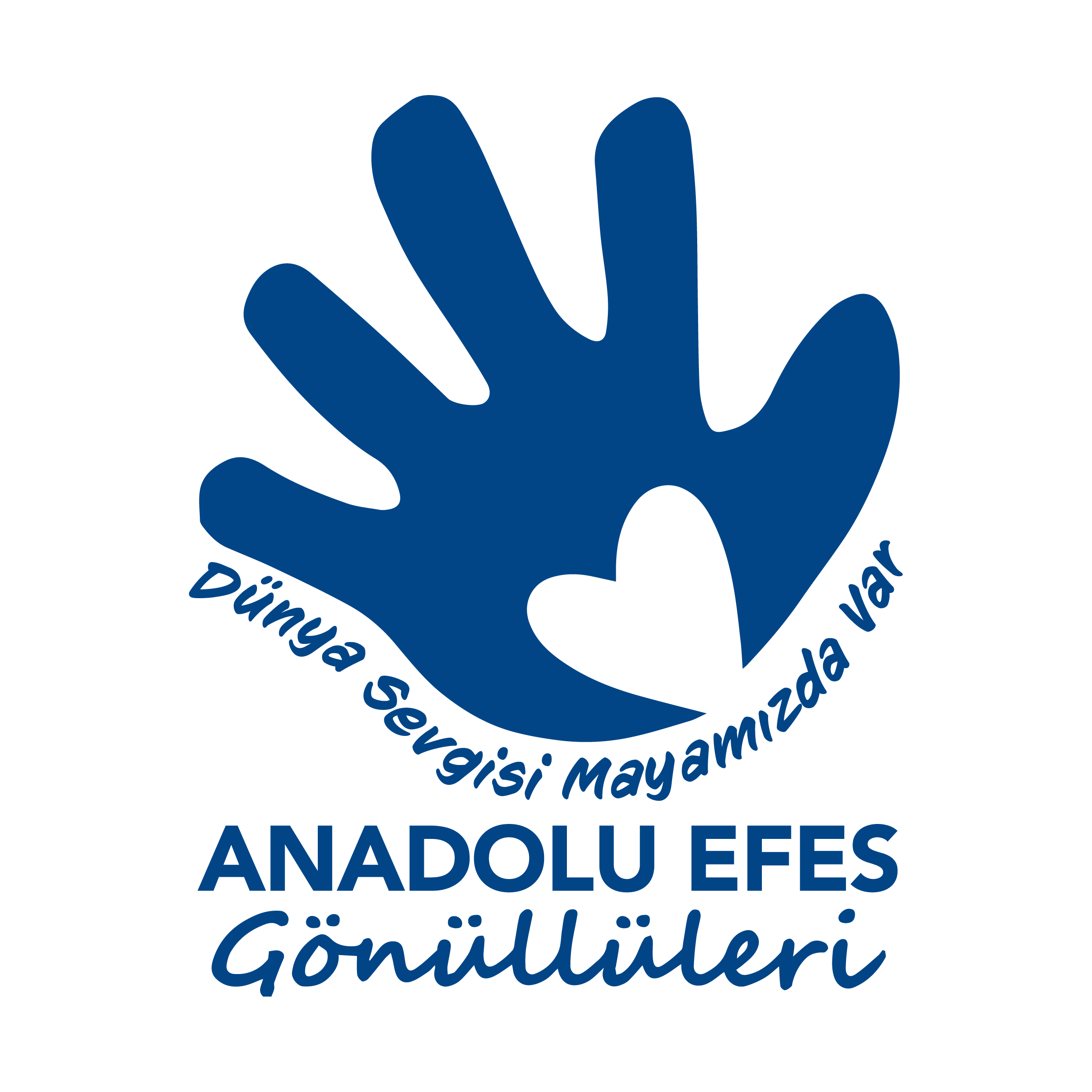 Anadolu Vakfı - Anadolu Efes Gönüllüleri