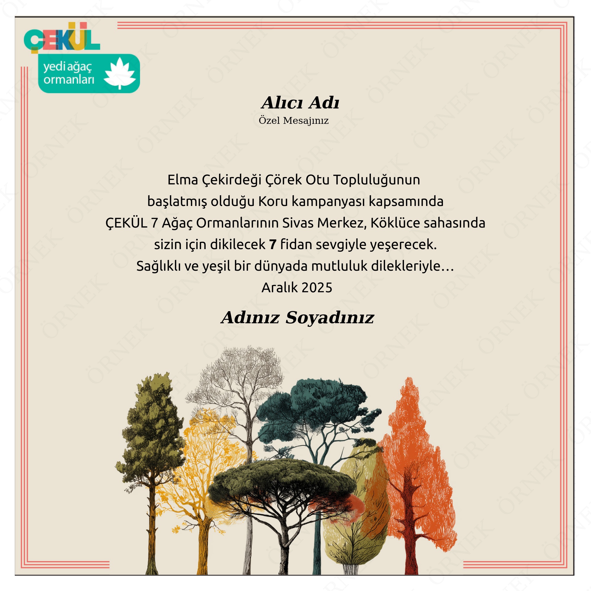 Elma Çekirdeği Genel - 7 Fidan