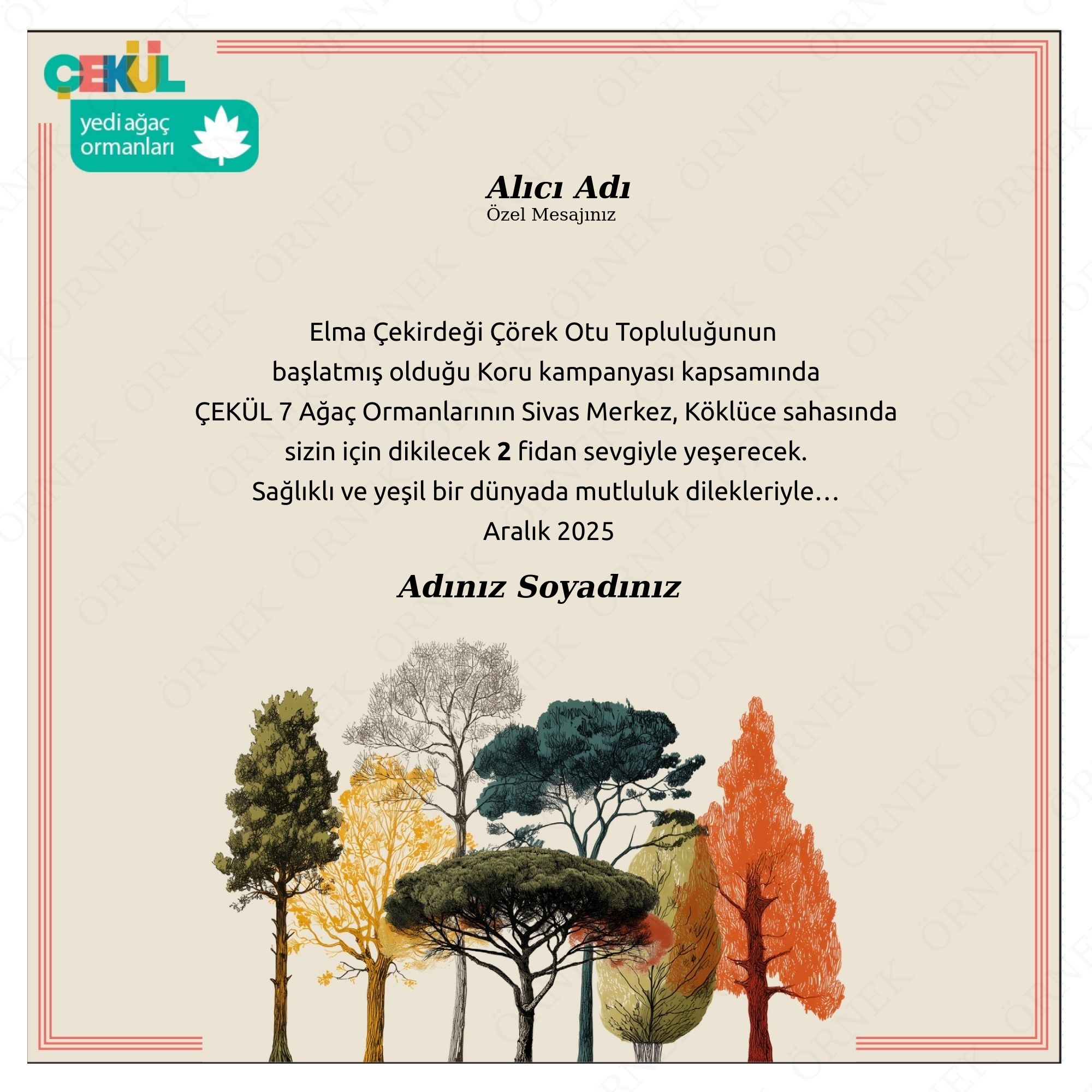 Elma Çekirdeği Genel -2 Fidan