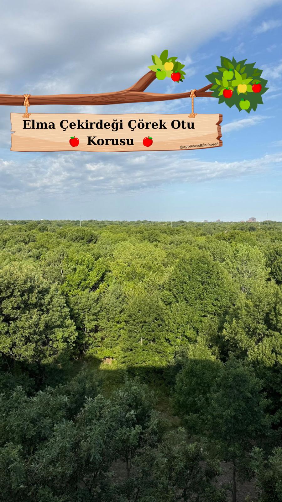 elmaçekirdeğiçörekotukorusu