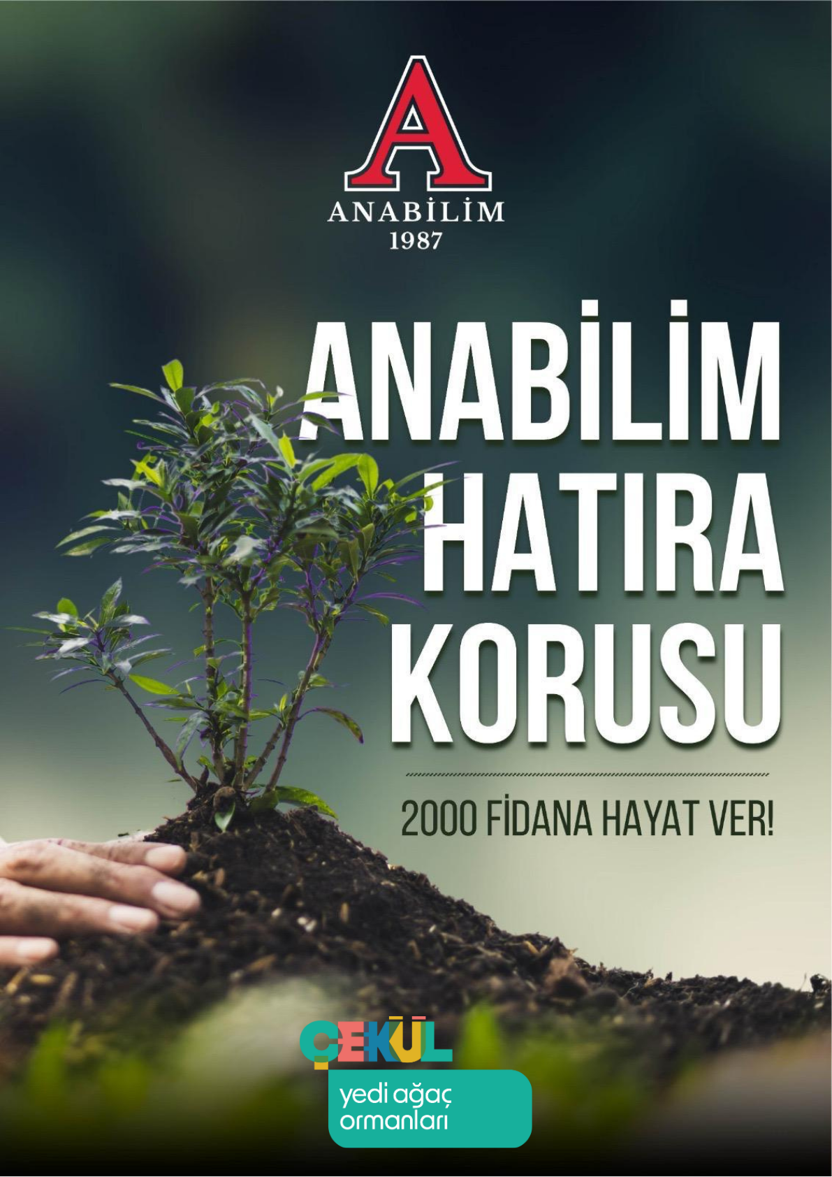 Anabilim Hatıra Korusu