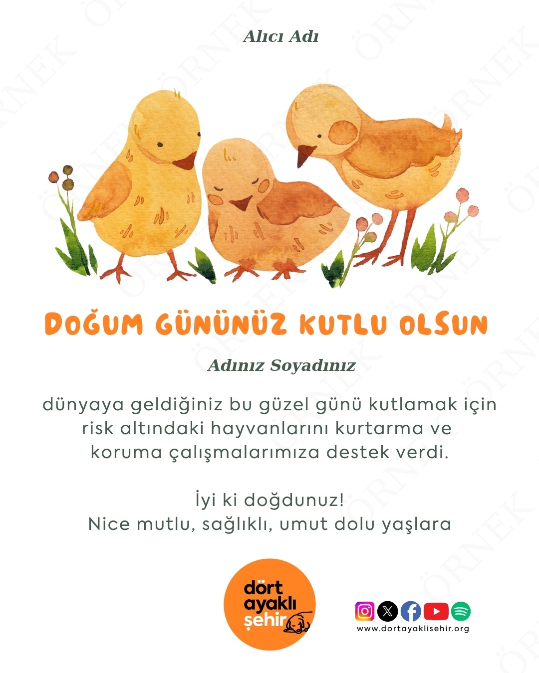 doğum günü kartı - II