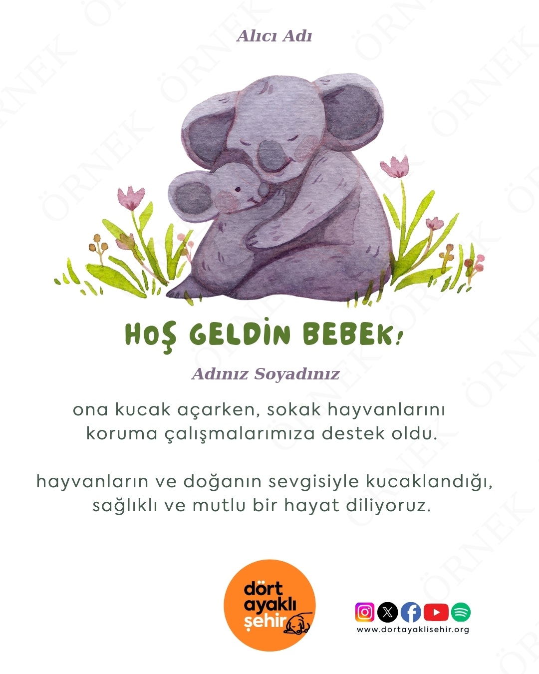 hoş geldin bebek- I