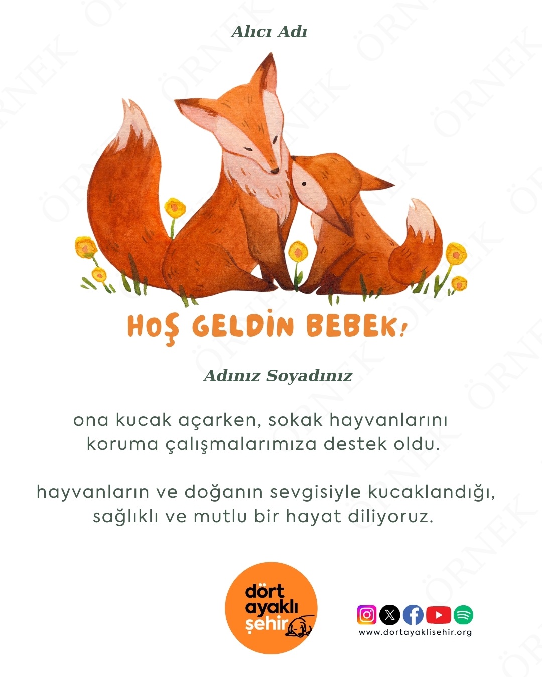 hoş geldin bebek- II