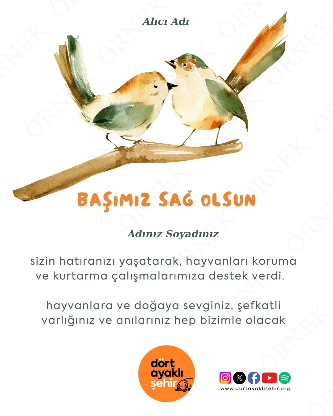 Baş Sağlığı Kartı- I