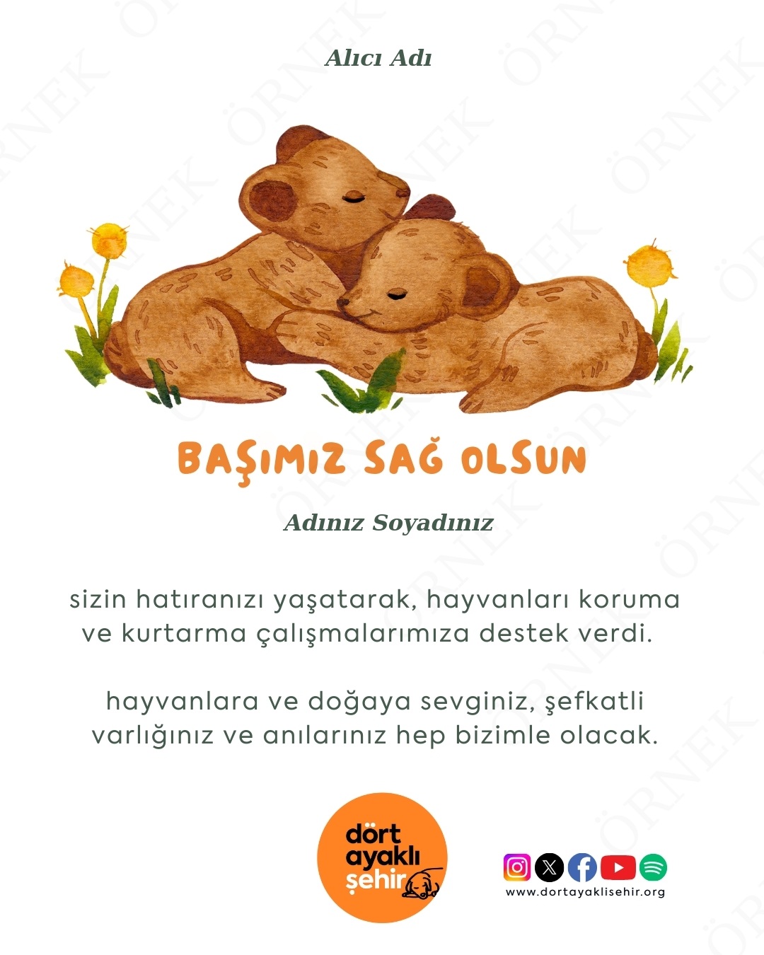 baş sağlığı kartı- II