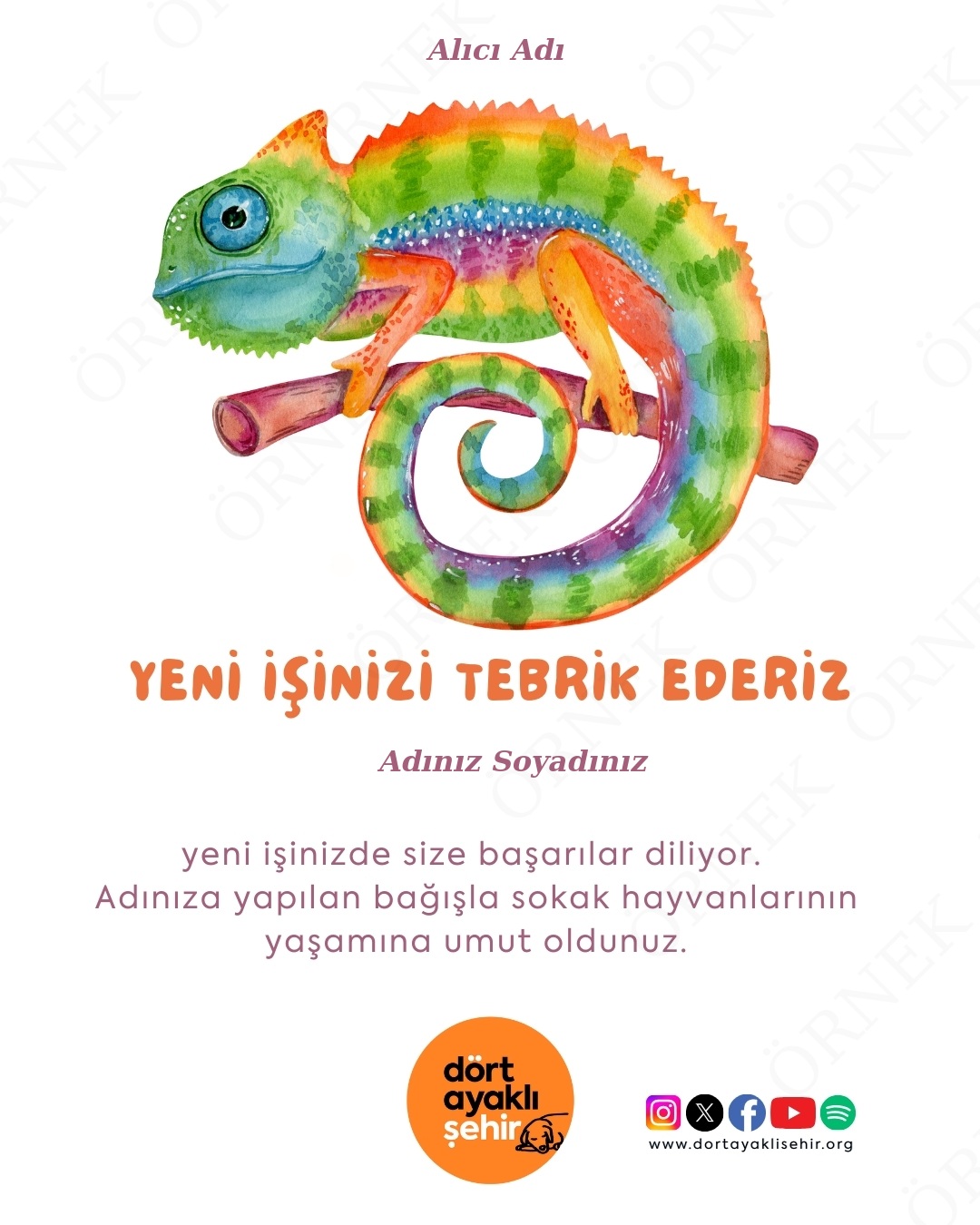 yeni iş tebriği
