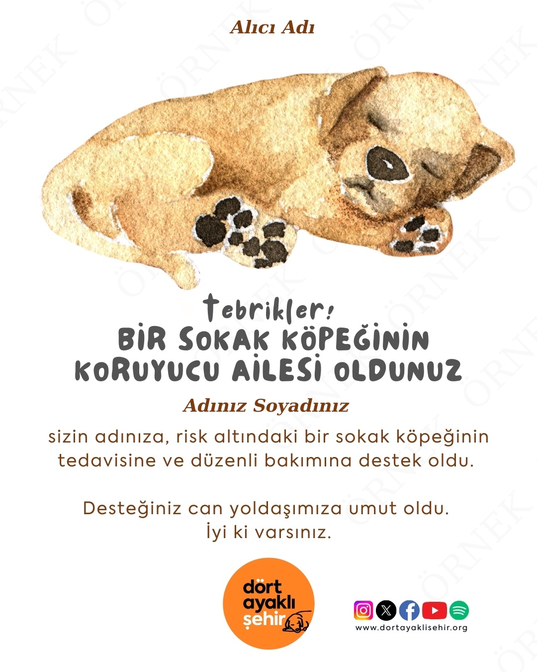 Koruyucu Aile Kartı - Köpek II
