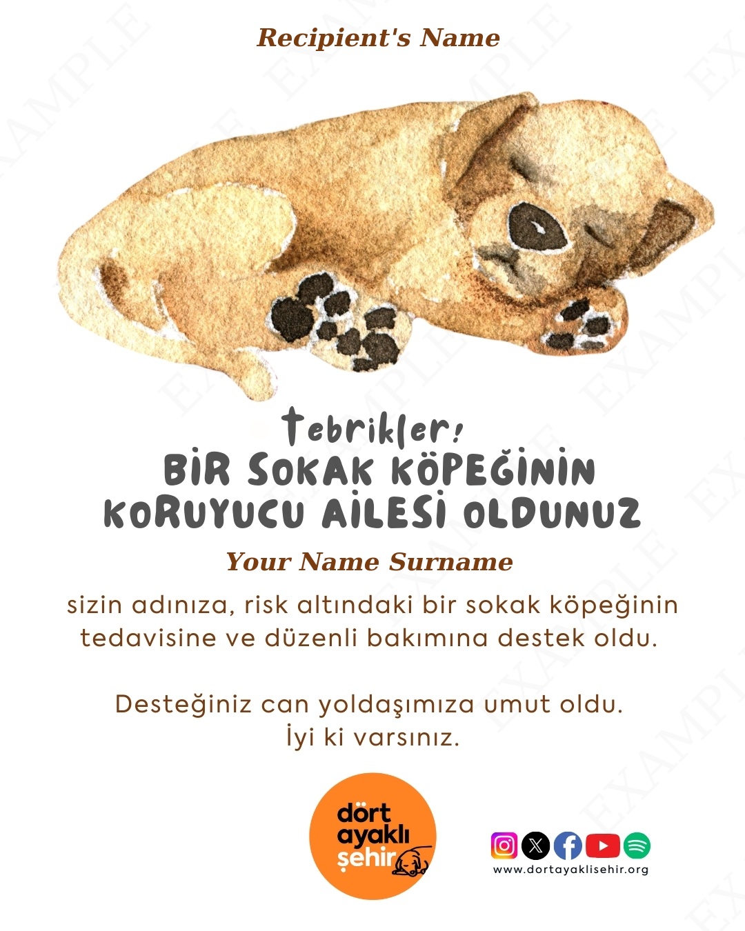 Koruyucu Aile Kartı - Köpek II