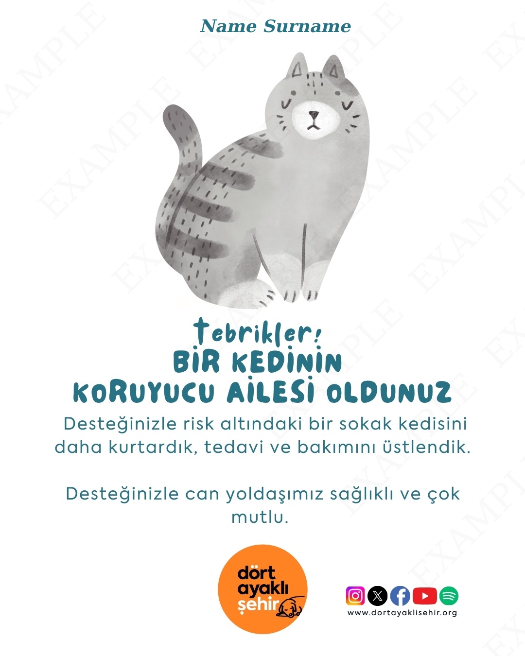 Koruyucu Aile Kartı - Kedi I