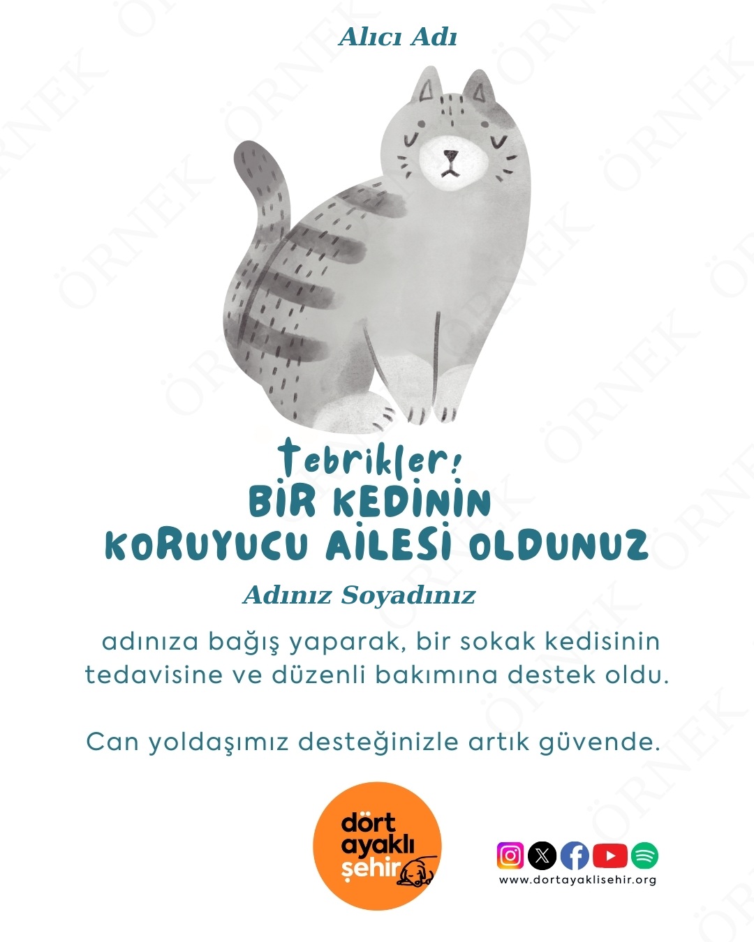 Koruyucu Aile Kartı- Kedi II