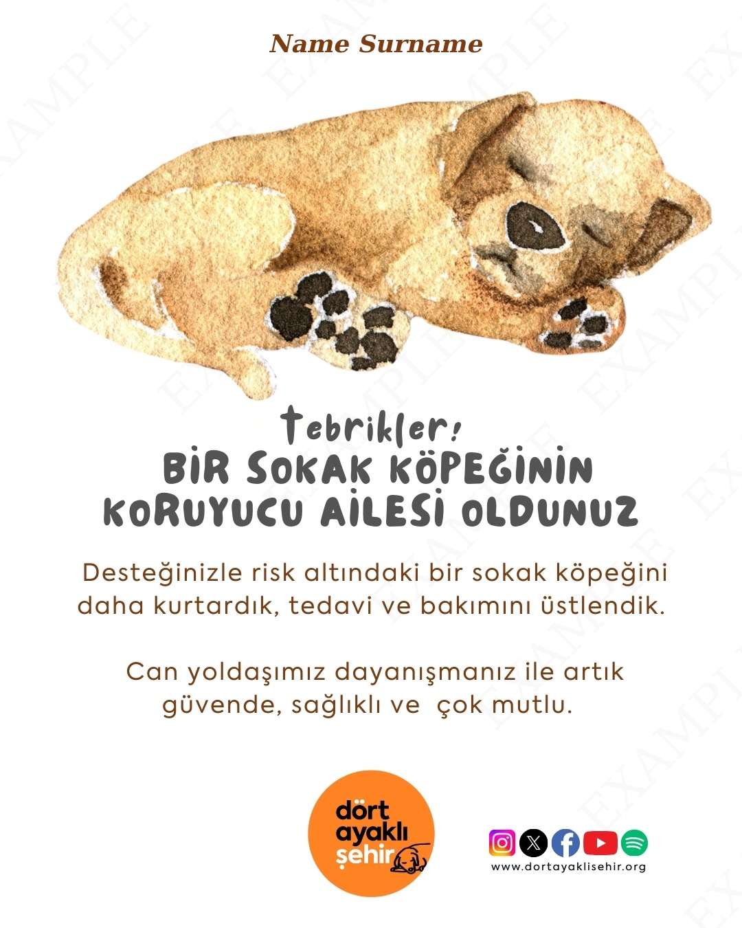 Koruyucu Aile Kartı- Köpek I