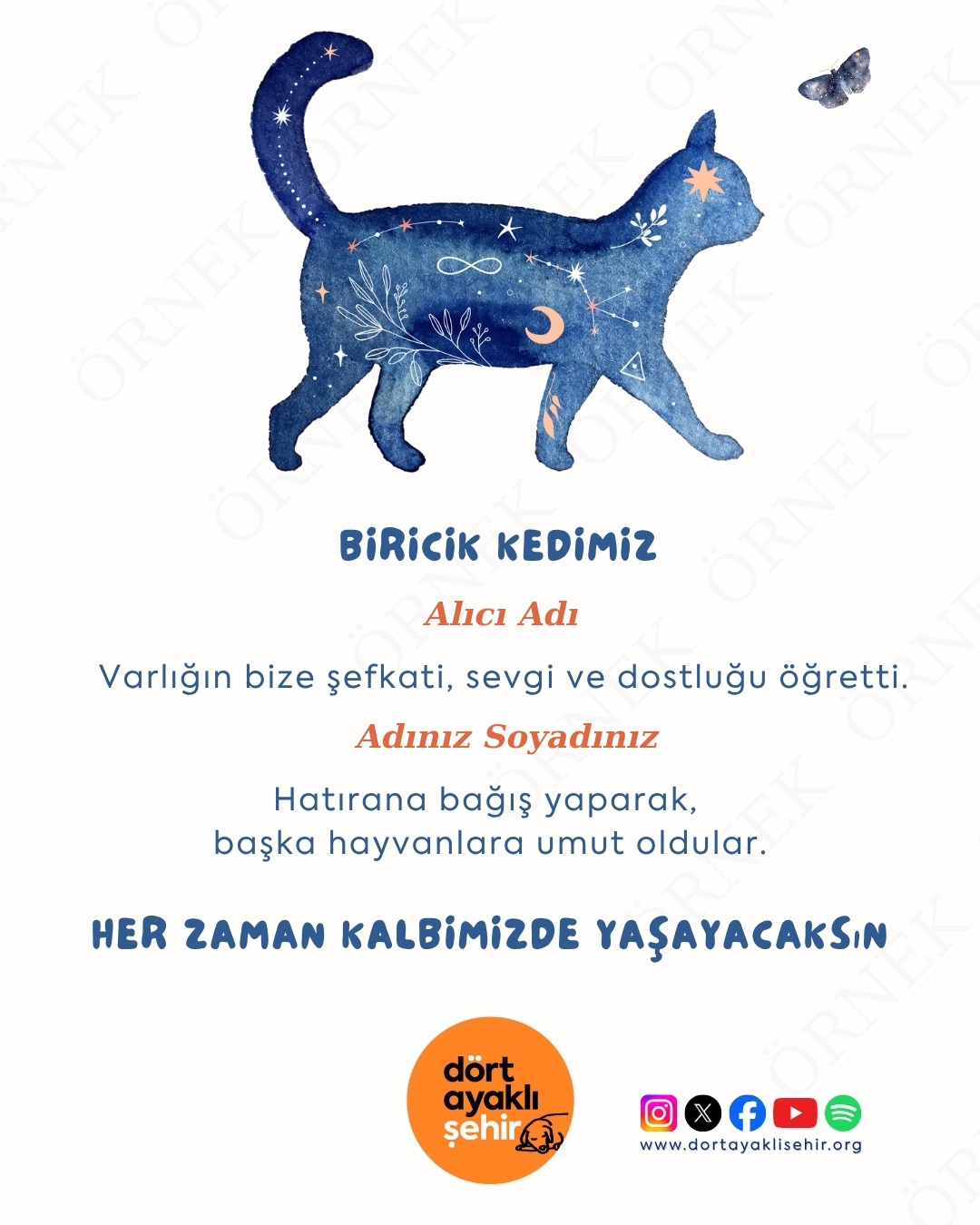 Vefat Eden Kedi Anısına Bağış