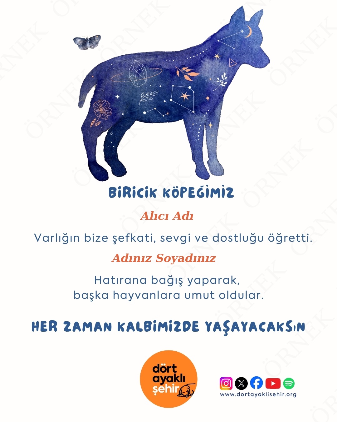Vefan Eden Köpek Anısına Bağış