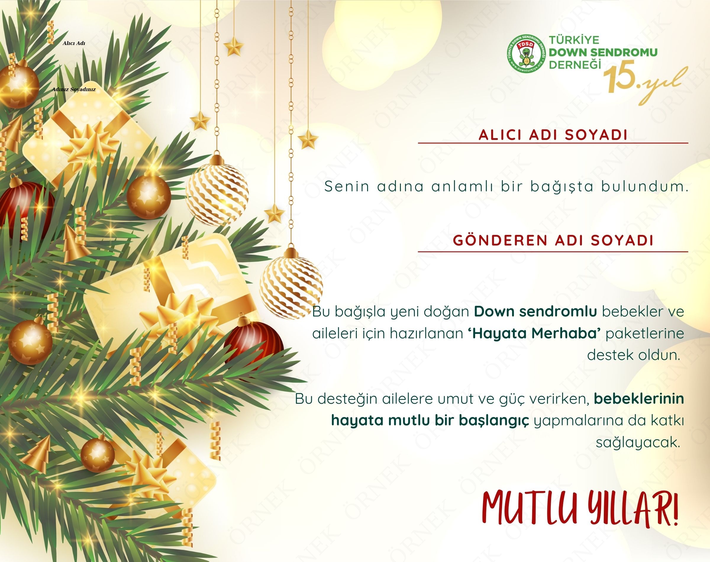 Yeni Yıl Sertifikası - 1