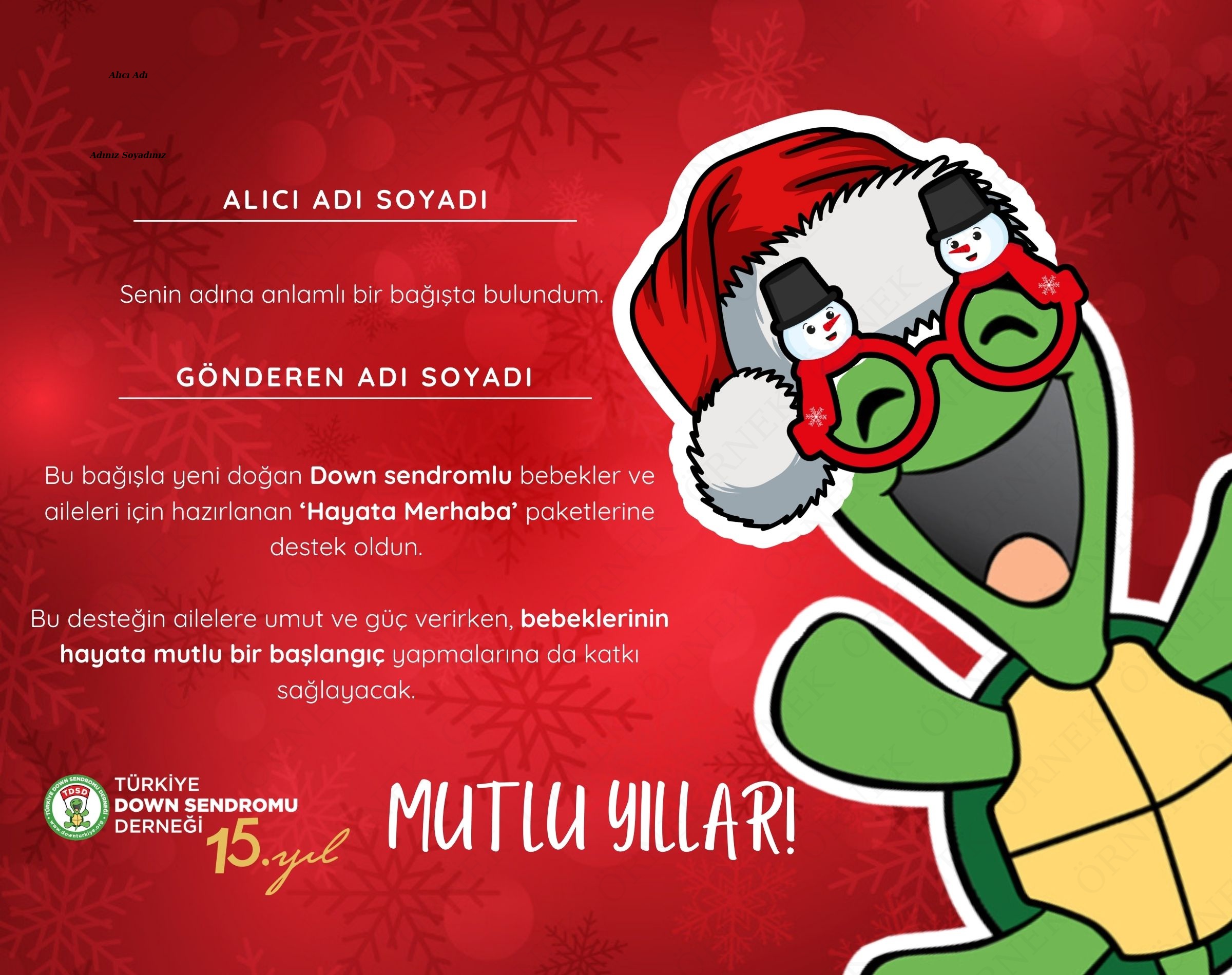 Yeni Yıl Sertifikası - 2