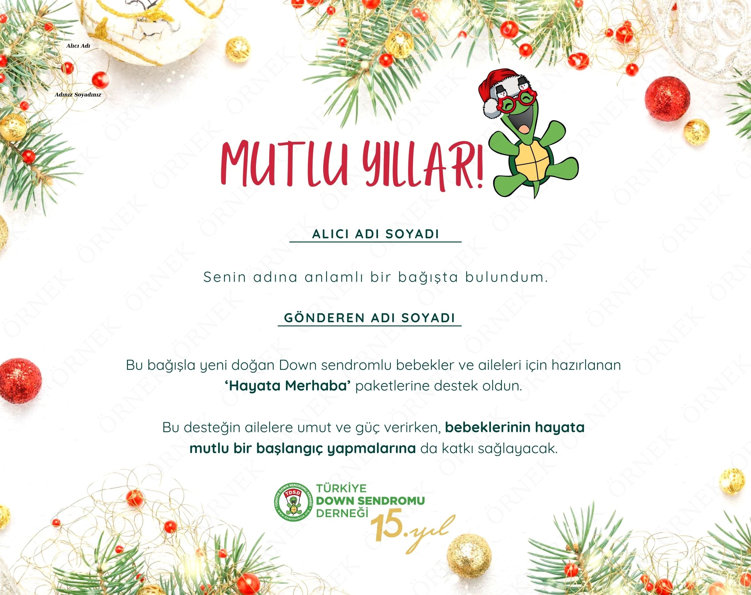 Yeni Yıl Sertifikası - 3