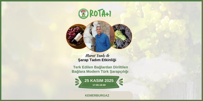 Terk edilen bağlardan diriltilen bağlara modern Türk şarapçılığı