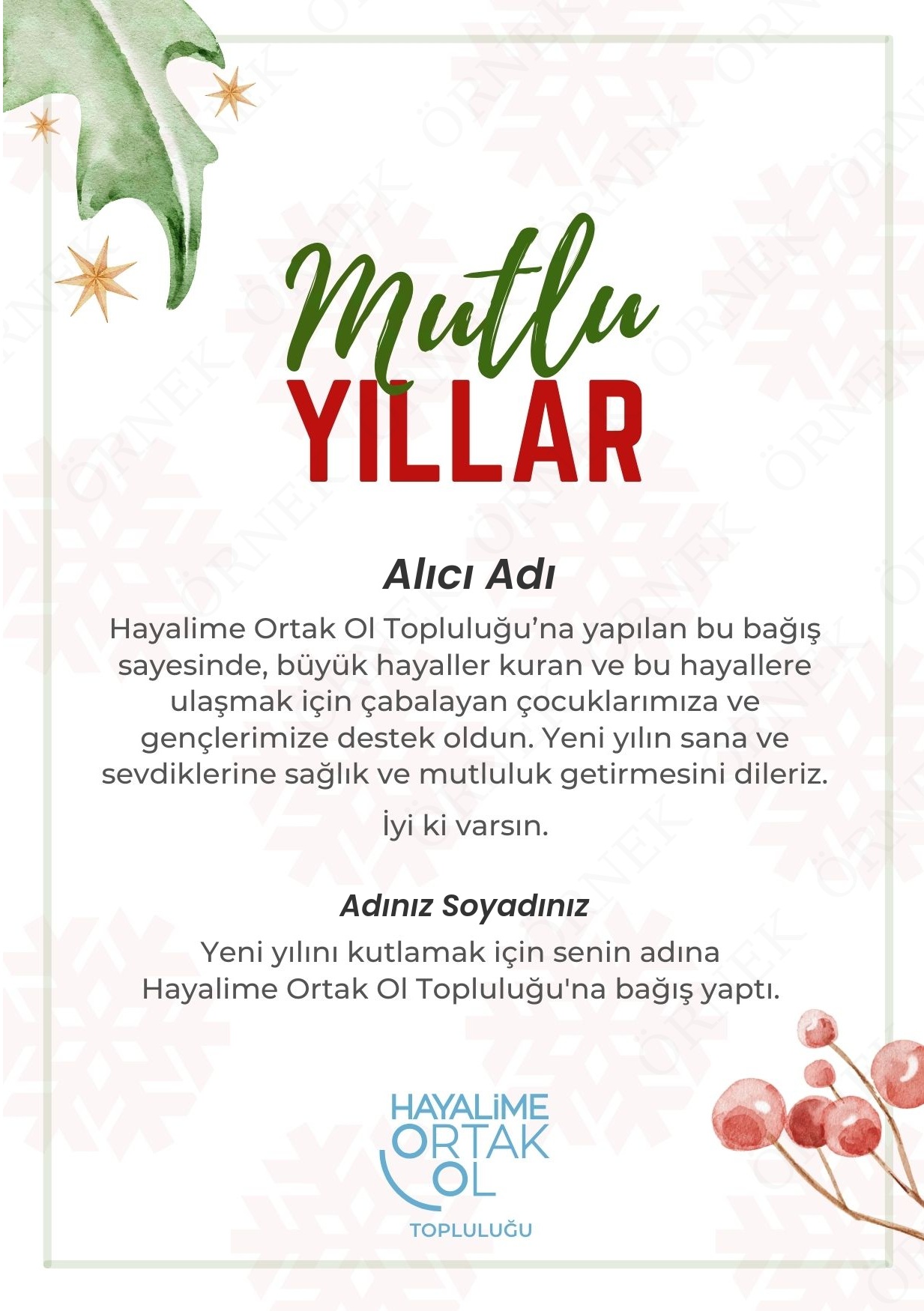 Yılbaşı Sertifikası 3