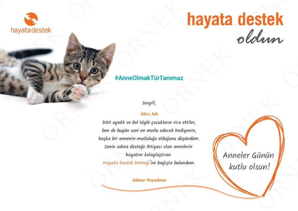 Anne Olmak Tür Tanımaz