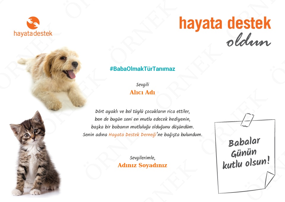 Baba Olmak Tür Tanımaz - 2