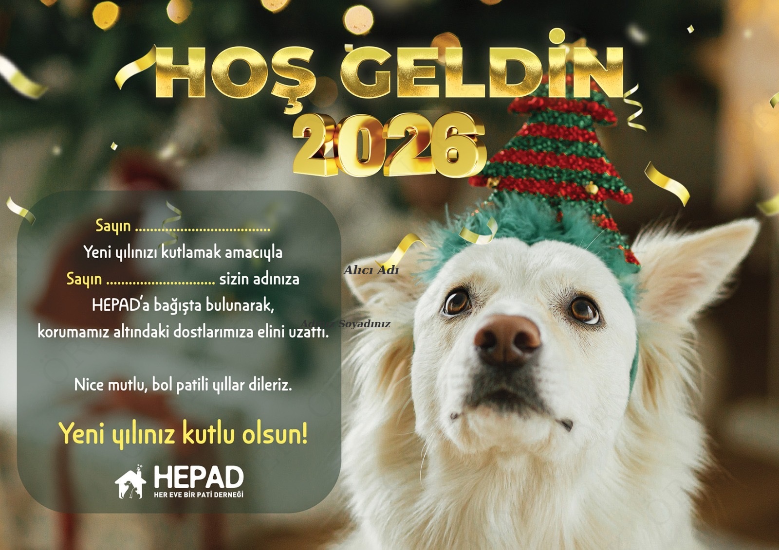 Yılbaşı Sertifikası 2026🎄🎁🧑‍🎄🎅