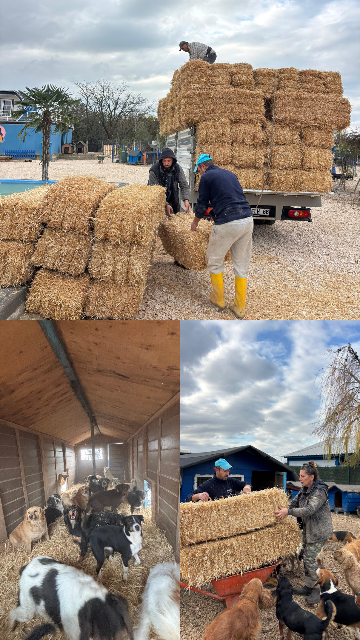 Dostlarımızın Isınması İçin Saman Desteği