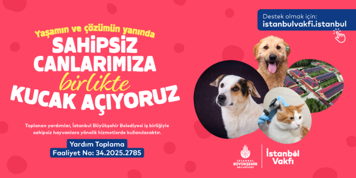 Donation page image