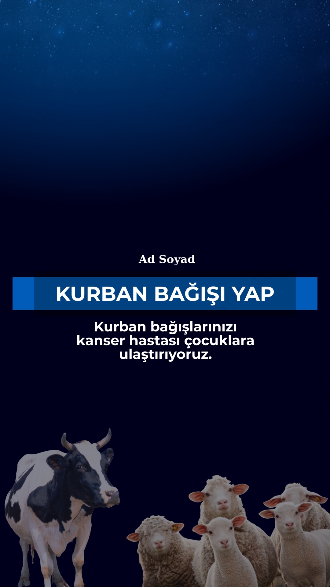 KURBAN BAĞIŞI YAP - Kurbanlık dana 7/1 hisse bedeli : 35000 ₺