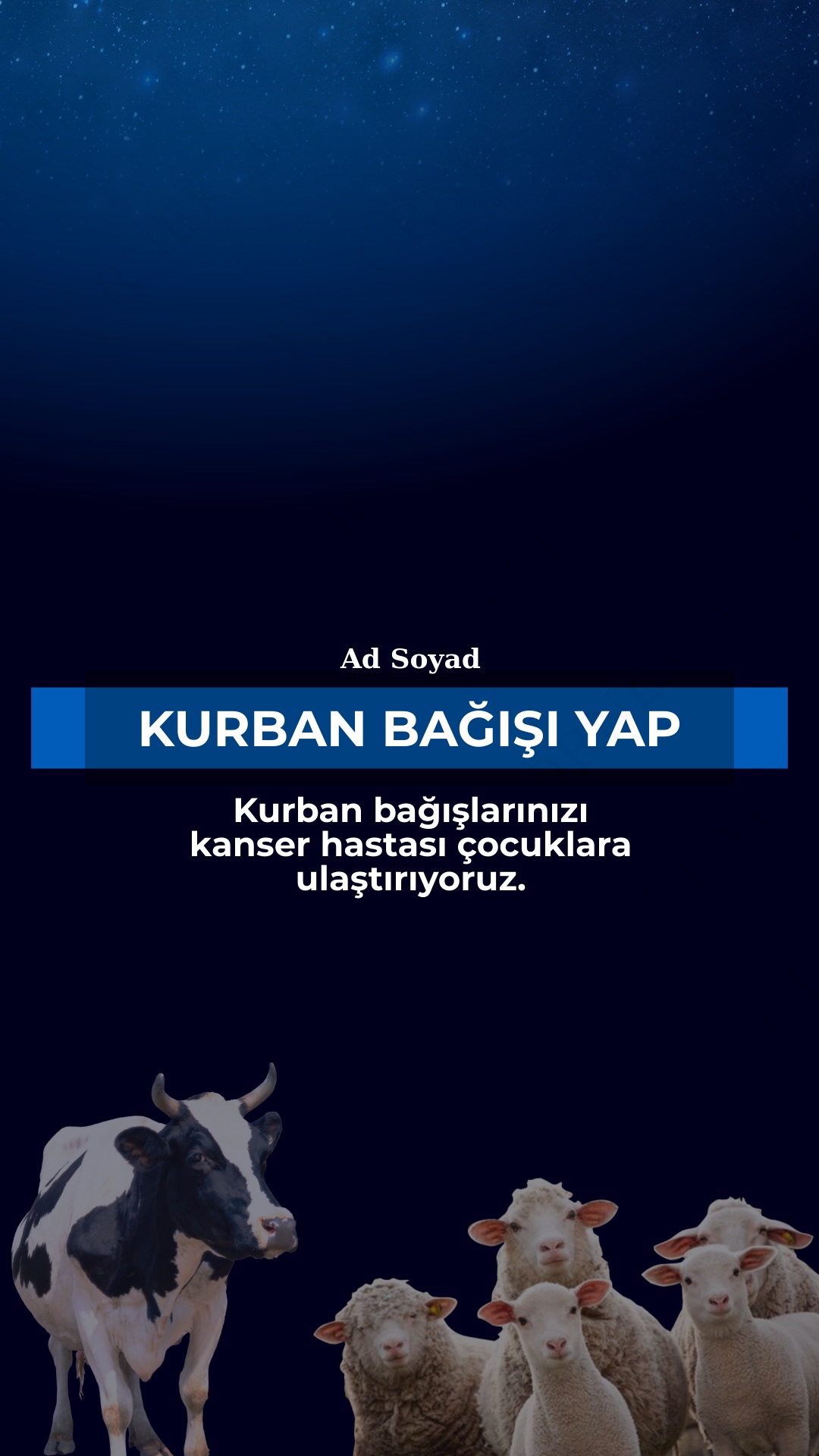 KURBAN BAĞIŞI YAP - Kurbanlık koyun bedeli 19500 ₺