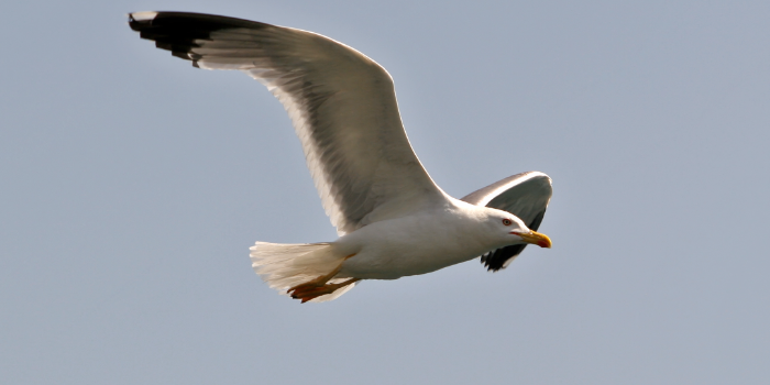 🎄 Yılbaşı temalı bir atölyede ileri dönüşümle tanışmaya ne dersiniz?