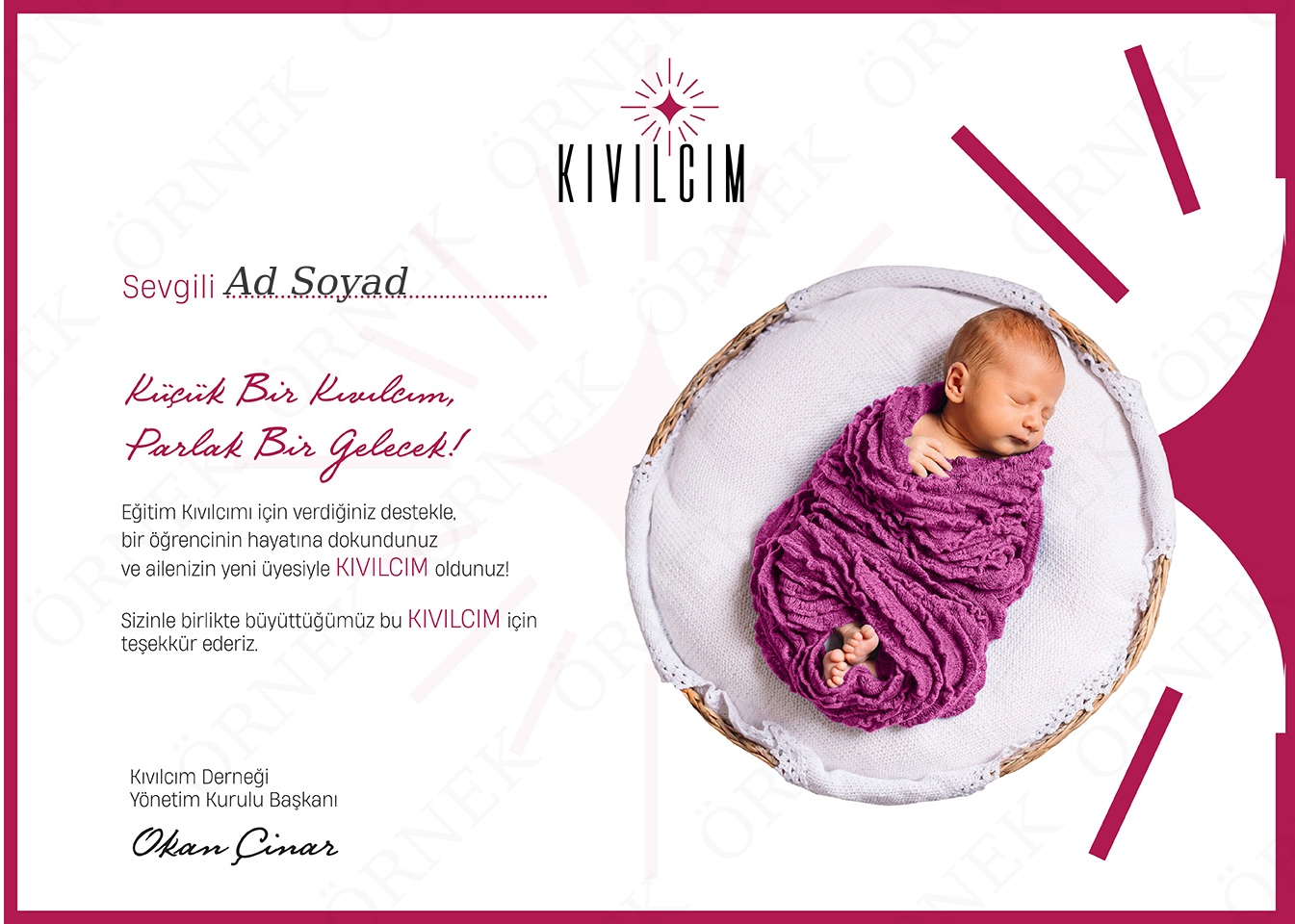 Hoşgeldin Bebek-2 (Tek İsimli)