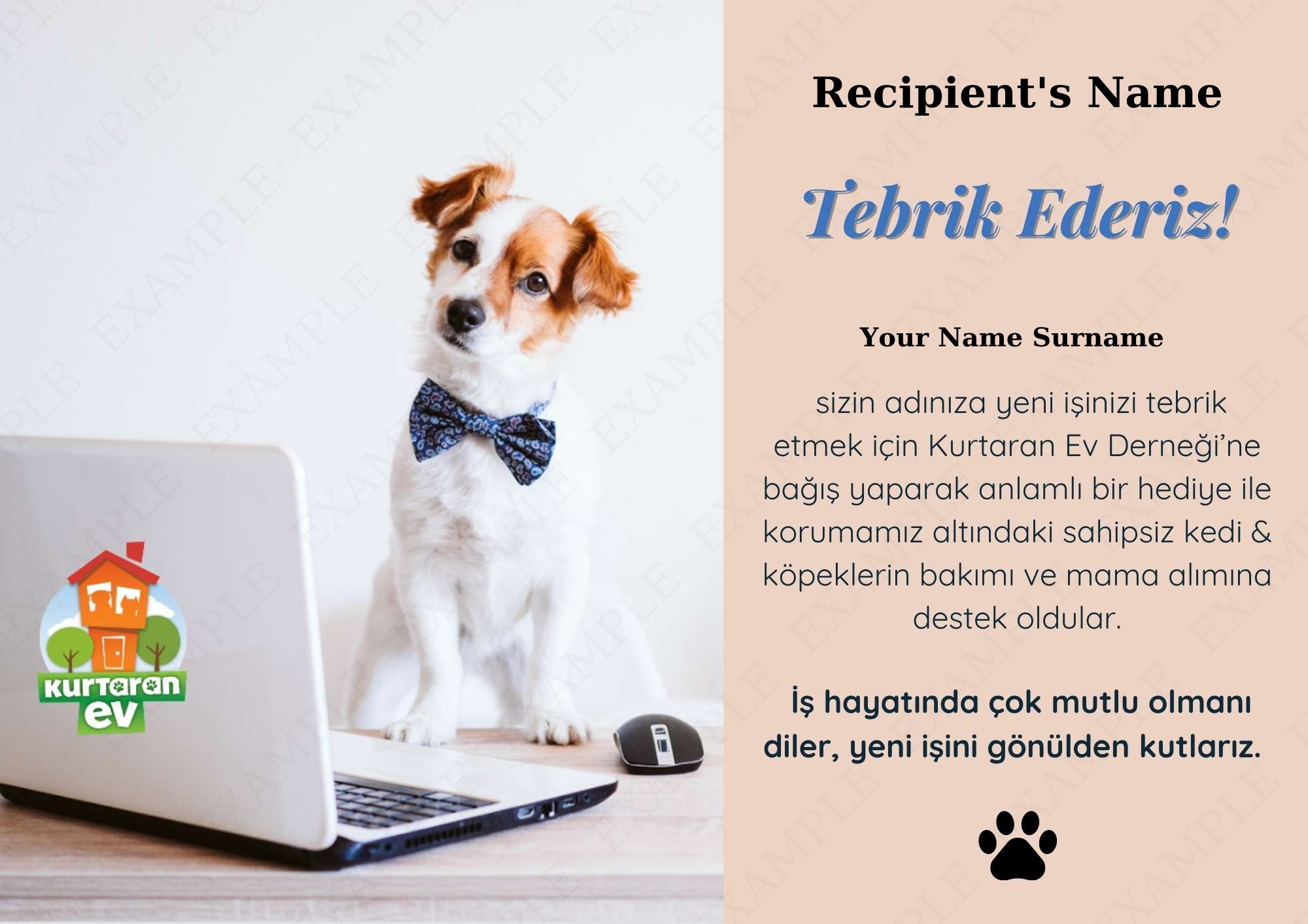 Yeni İş Tebriği 3