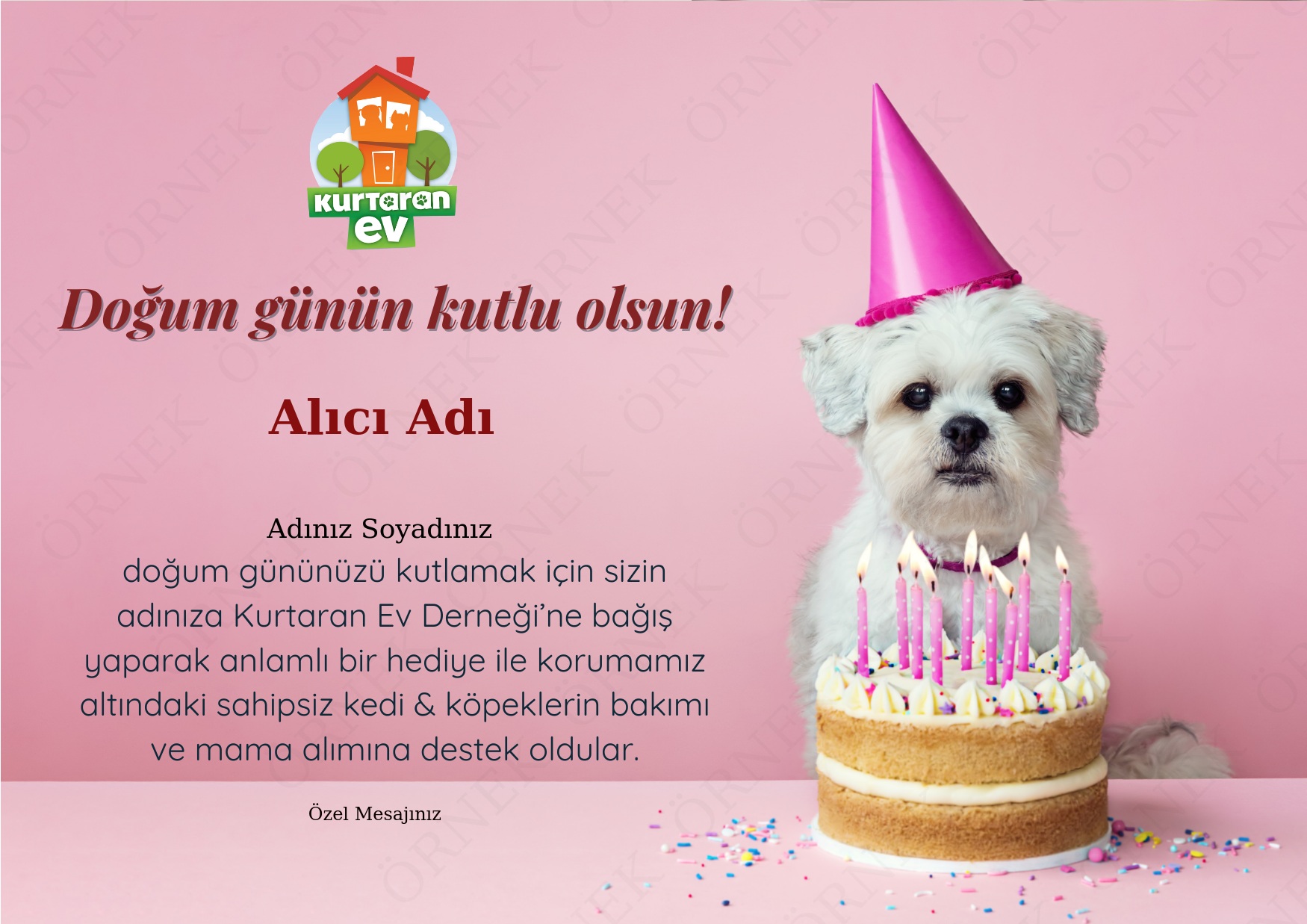 Doğum Günü 3