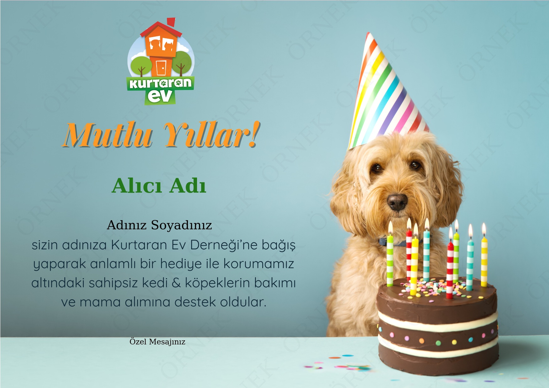 Doğum Günü 4