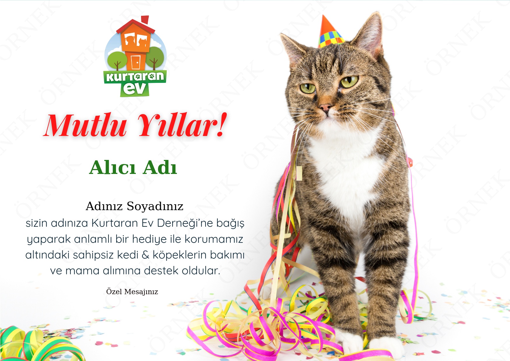Doğum Günü 5