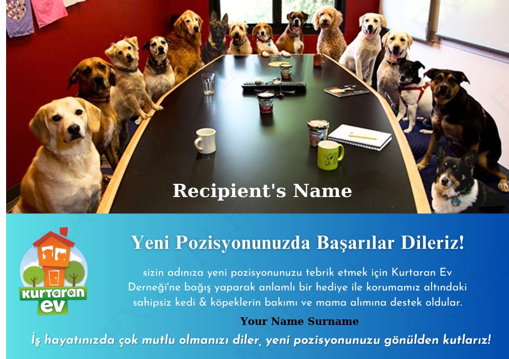 Yeni İş Pozisyonu Tebriği