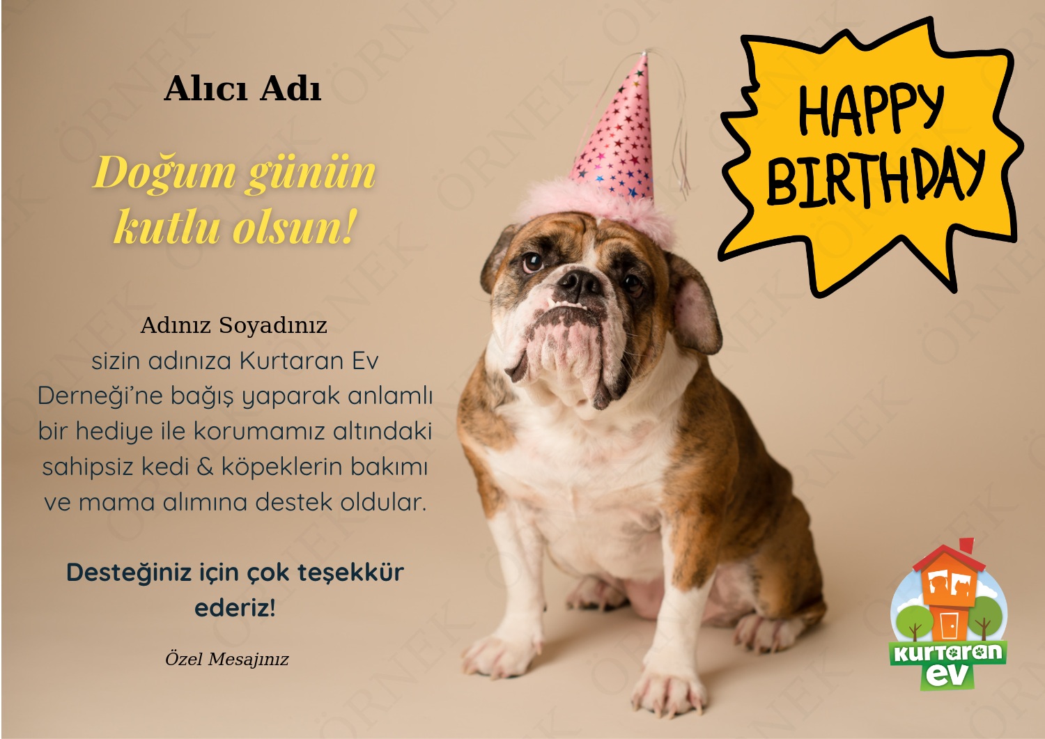 Doğum Günü 6