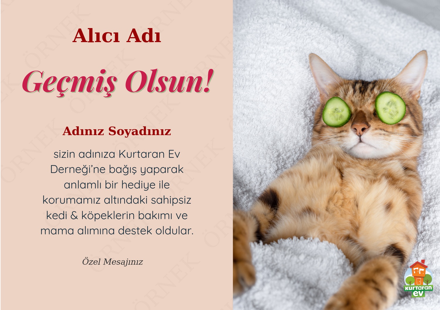 Geçmiş Olsun 2