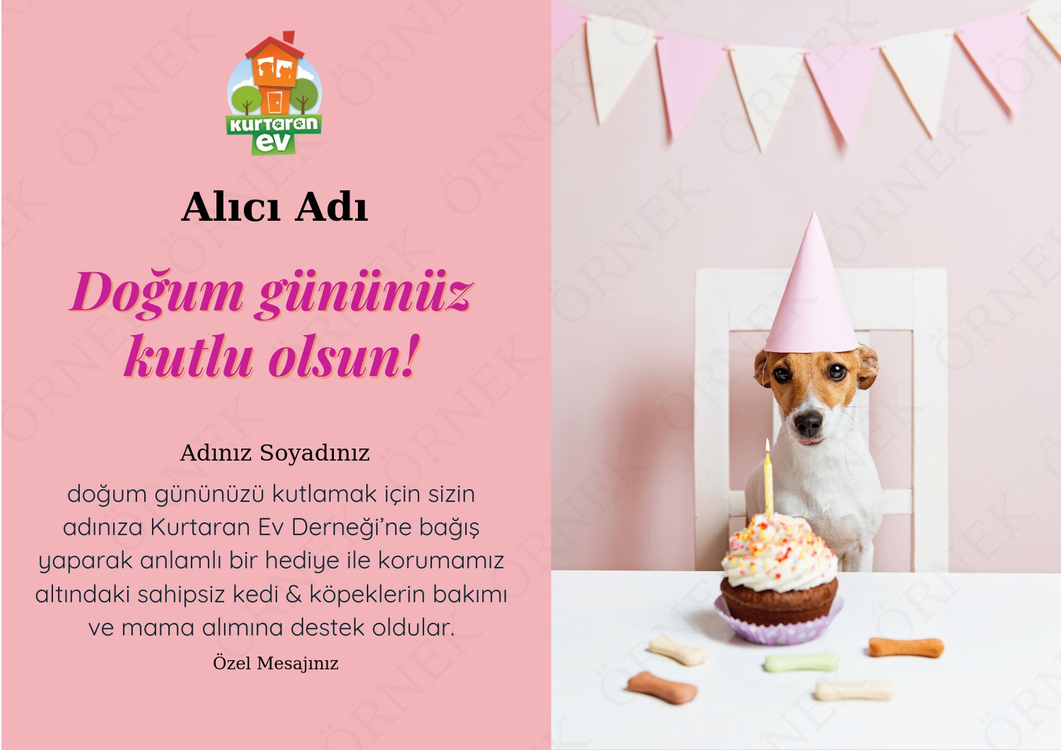 Doğum Günü 7
