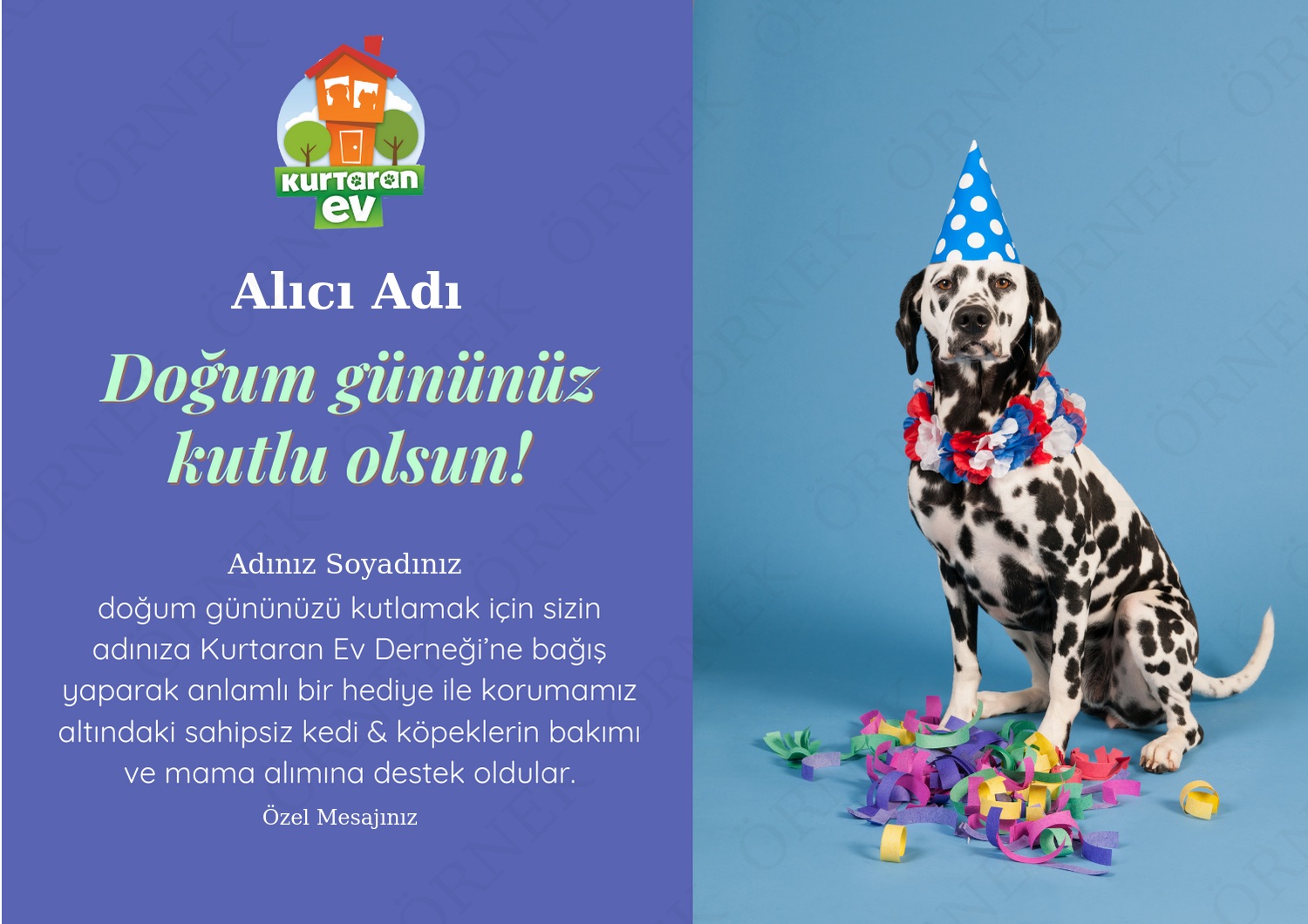 Doğum Günü 9