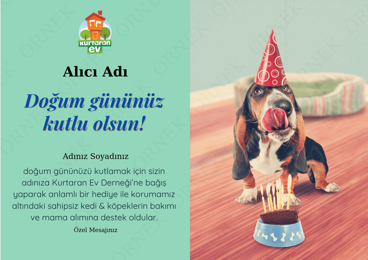 Doğum Günü 8