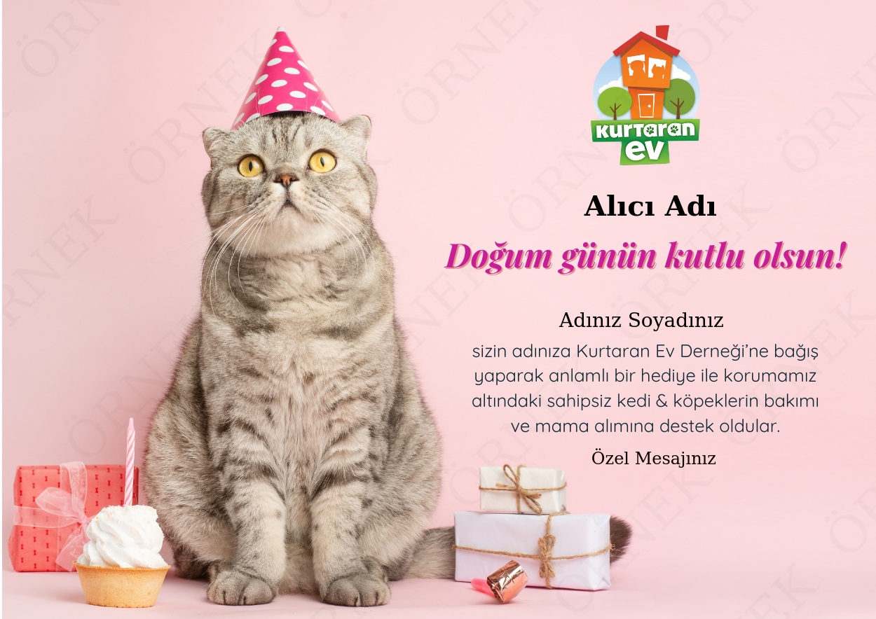 Doğum Günü 10