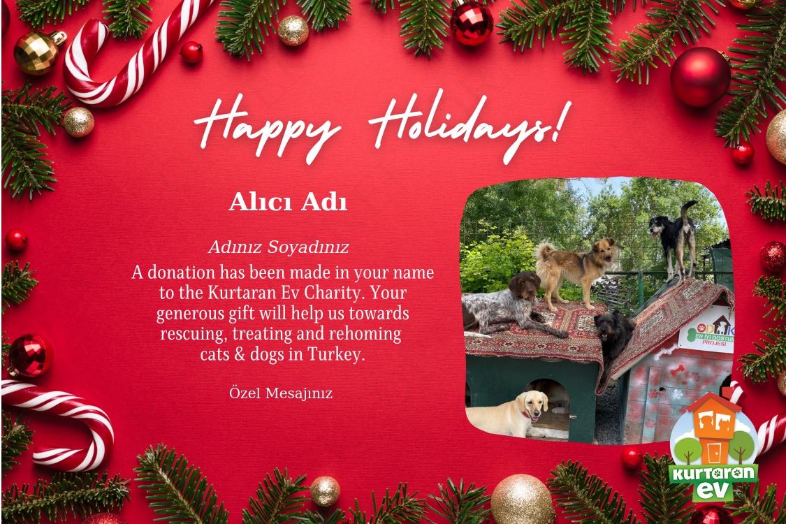 Happy Holidays 1 [ENG]