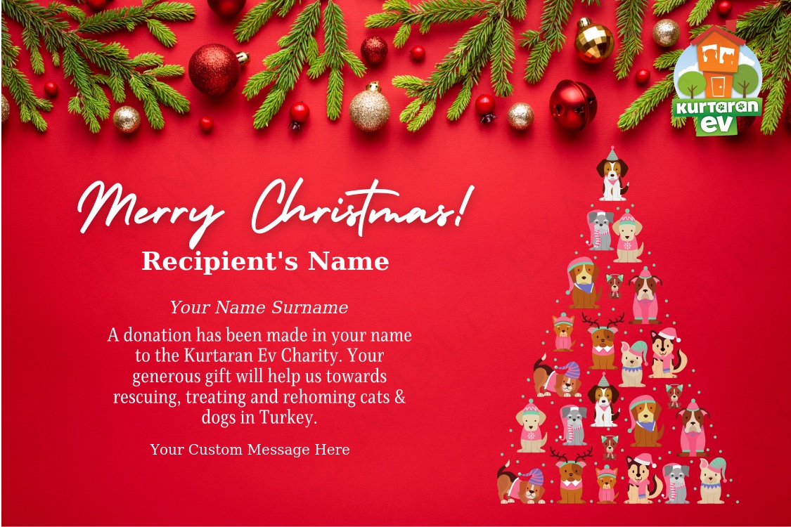 Merry Christmas [ENG]