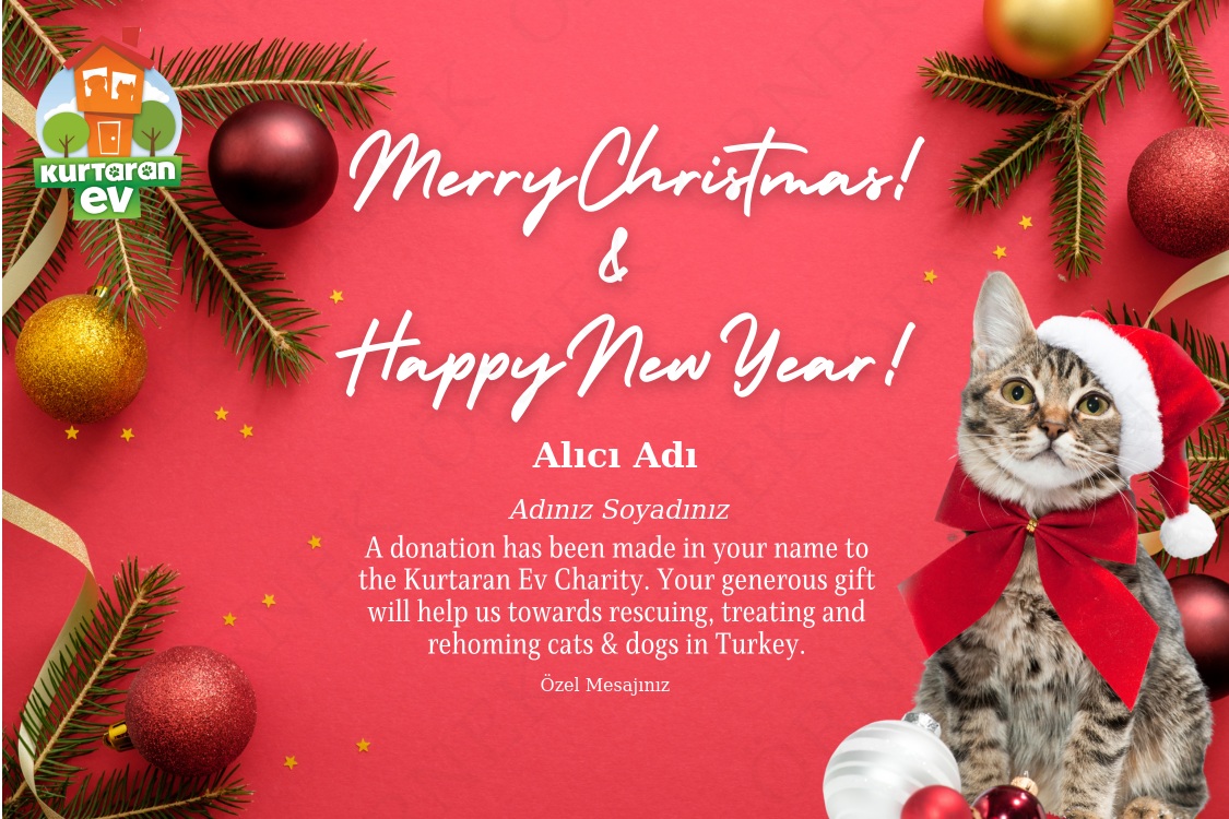 Happy New Year [ENG]