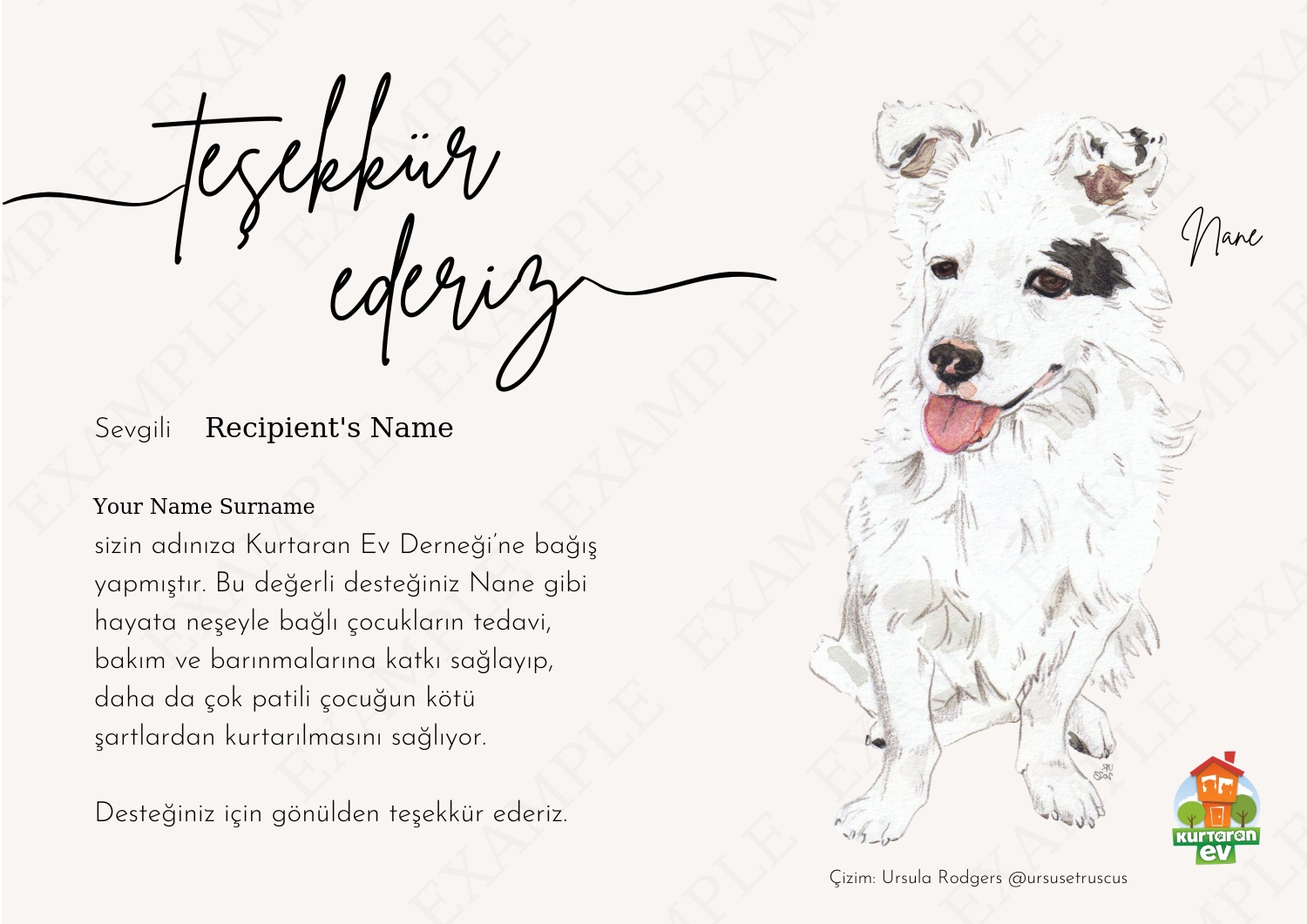 Kurtaran Ev Çocuklarına Destek - Nane