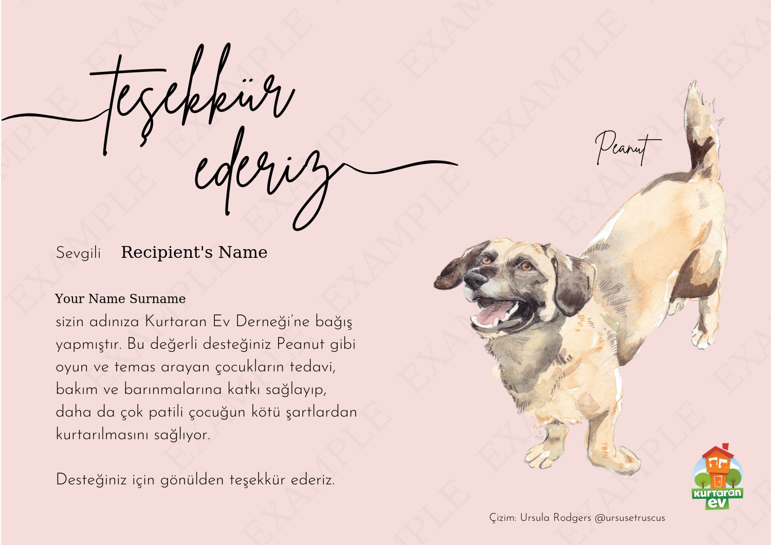 Kurtaran Ev Çocuklarına Destek - Peanut