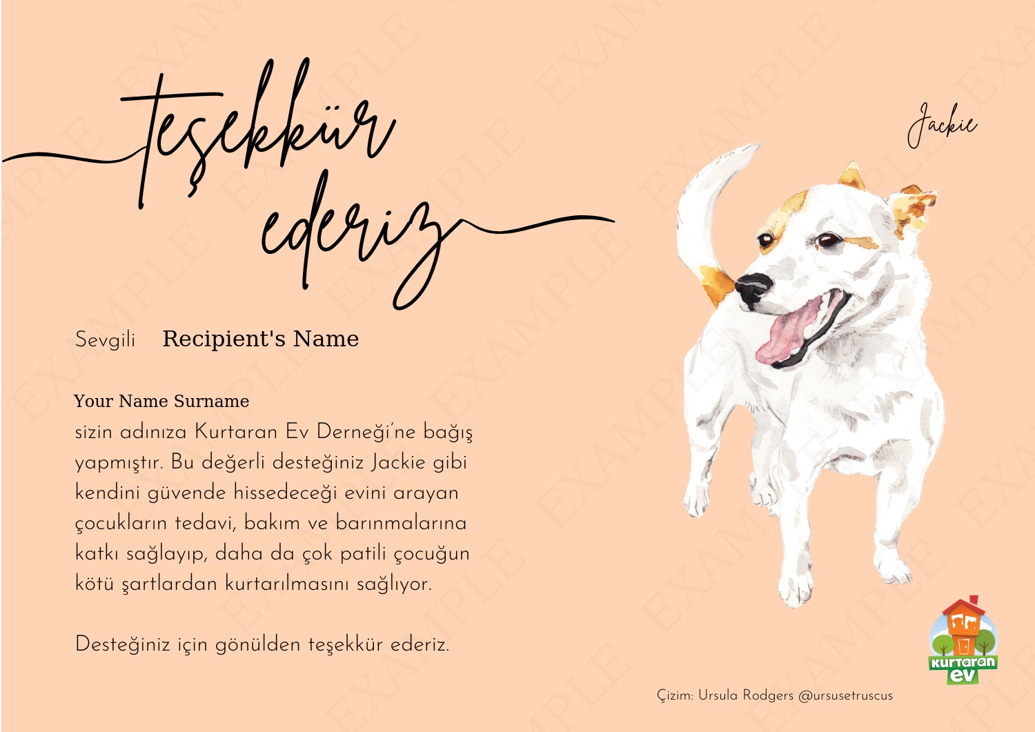 Kurtaran Ev Çocuklarına Destek - Jackie